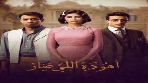 مشاهدة مسلسل أهو ده اللي صار 