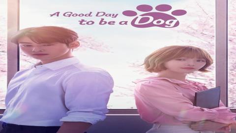 مشاهدة مسلسل A Good Day to Be a Dog 