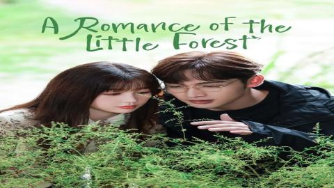 مشاهدة مسلسل A Romance of the Little Forest 