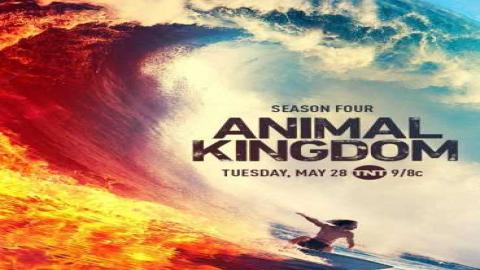 مشاهدة مسلسل Animal Kingdom 