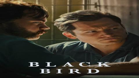 مشاهدة مسلسل Black Bird 