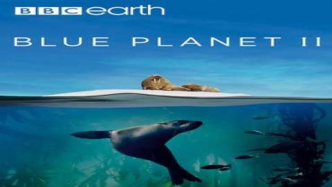 مشاهدة مسلسل Blue Planet II 