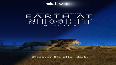 مشاهدة مسلسل Earth at Night in Color 