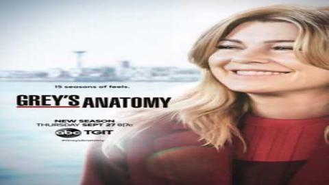 مشاهدةمسلسل Greys Anatomy 