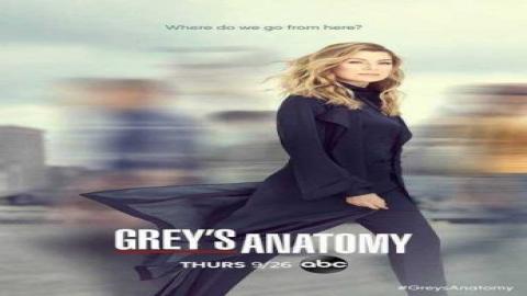 مشاهدة مسلسل Grey's Anatomy 