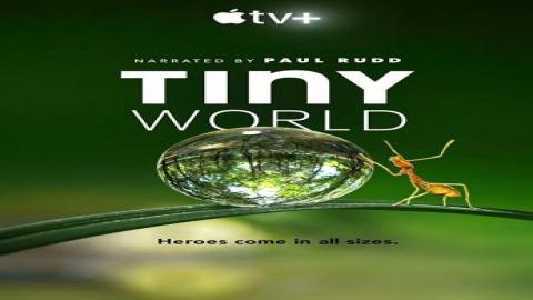 مشاهدة مسلسل Tiny World 