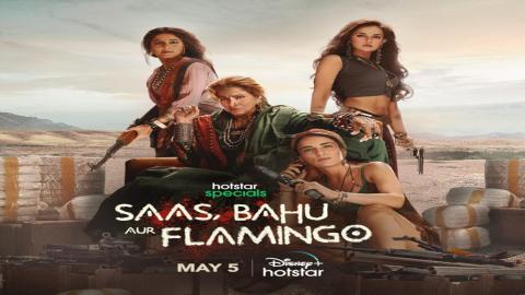 مشاهدة مسلسل Saas, Bahu Aur Flamingo 2023 