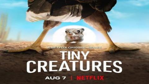 مشاهدة مسلسل Tiny Creatures 