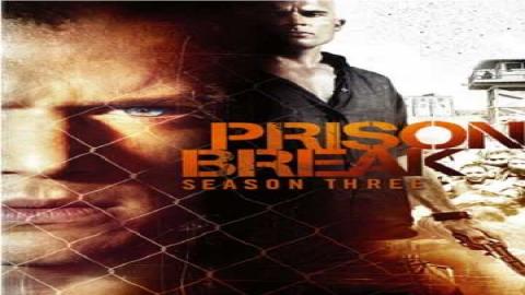 مشاهدة مسلسل Prison Break 