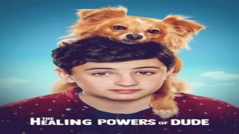 مشاهدة مسلسل The Healing Powers of Dude 