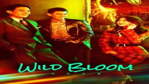 مشاهدة مسلسل Wild Bloom 