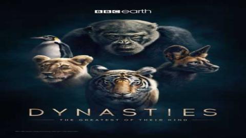 مشاهدة مسلسل Dynasties 