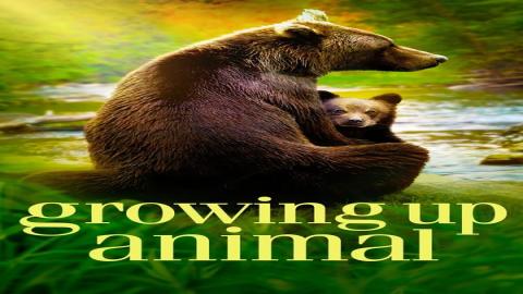 مشاهدة مسلسل Growing Up Animal 