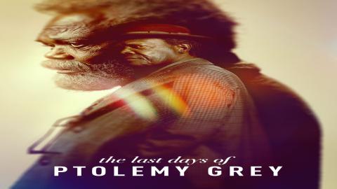 مشاهدة مسلسل The Last Days of Ptolemy Grey 